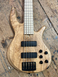 PROGRESS SERIES IV CUSTOM 5 STRING - Ser. No. 4353