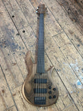 PROGRESS SERIES IV FRETLESS 5 STRING - Ser. No. 4402