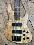 HYBRID CUSTOM 5 STRING - Ser. No. 4403