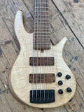 PROGRESS SERIES IV CUSTOM 6 STRING - Ser. No. 4523